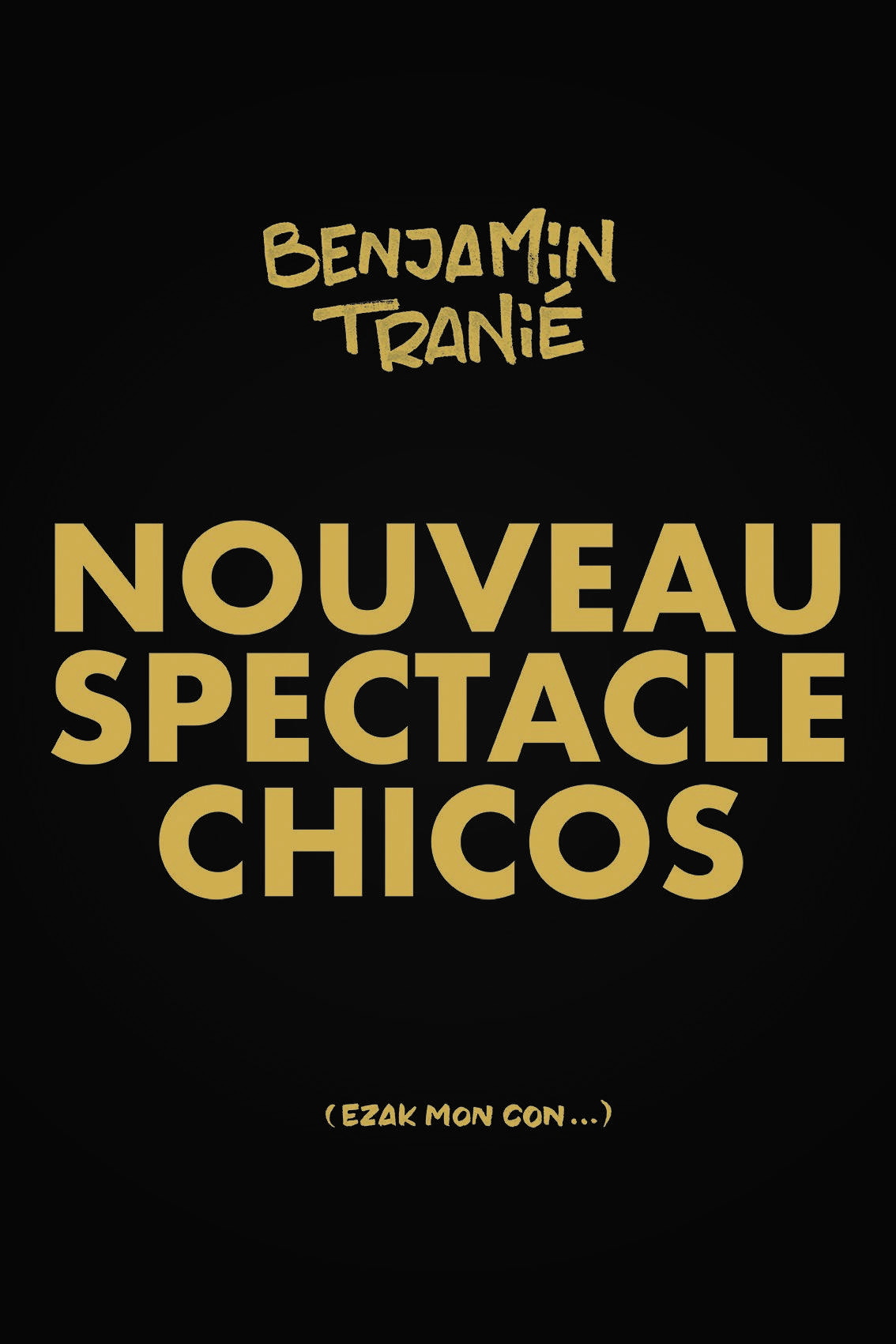 Benjamin Tranié - Royal Comedy Club - Reims (51)