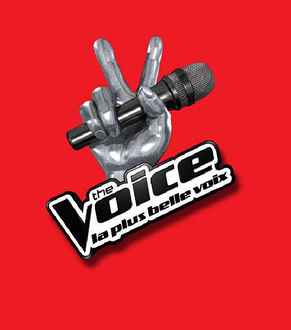 The Voice, le casting officiel