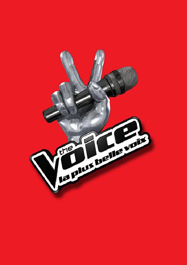 The Voice, le casting officiel