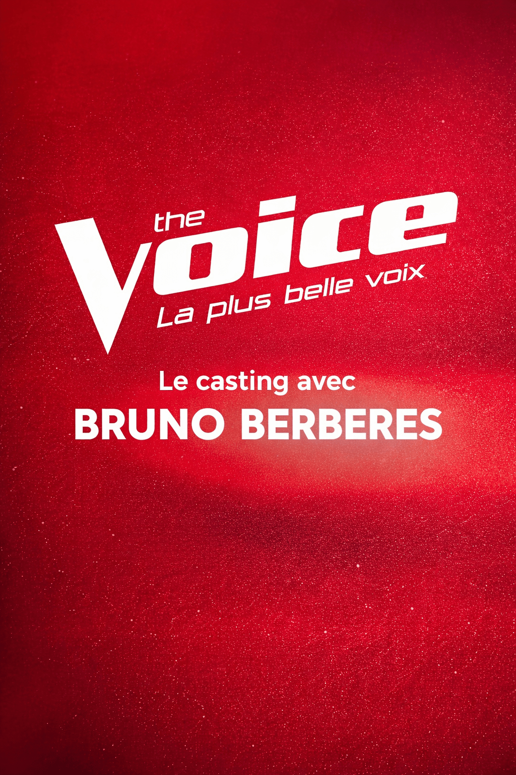 The Voice, le casting officiel